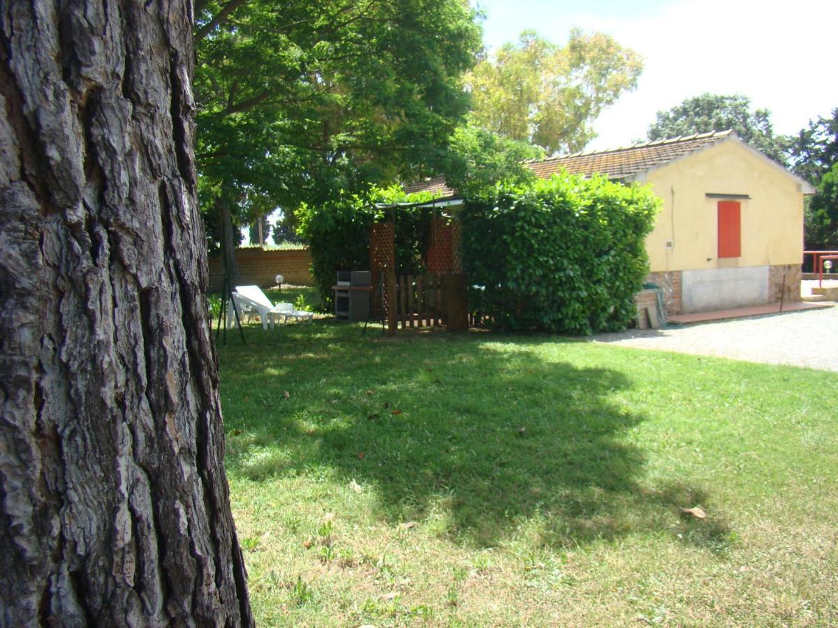 Casa Vacanze Guardamare San Vincenzo Ngoại thất bức ảnh
