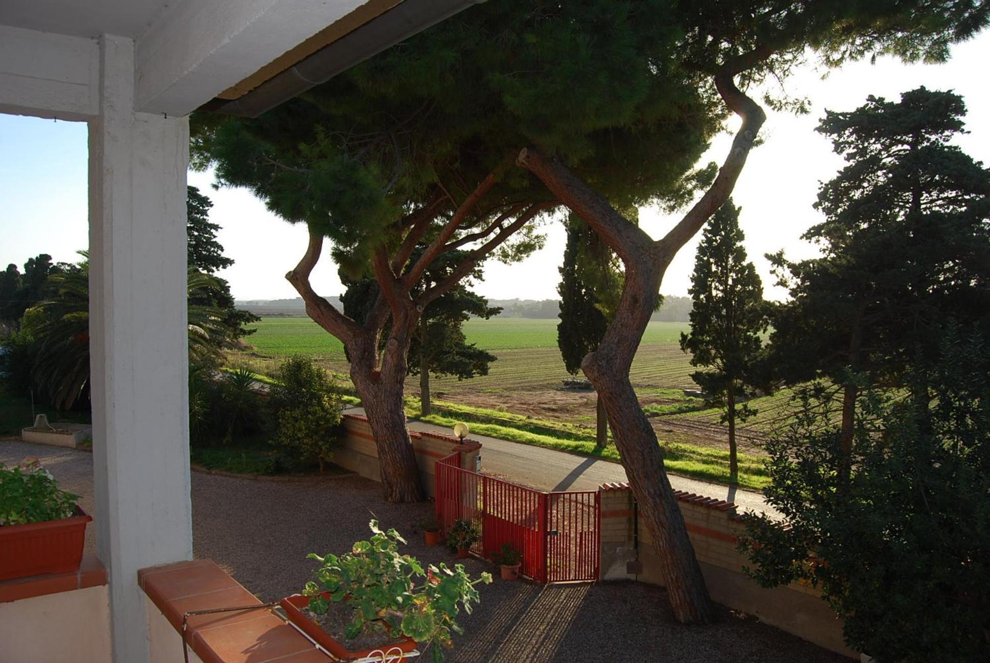 Casa Vacanze Guardamare San Vincenzo Ngoại thất bức ảnh